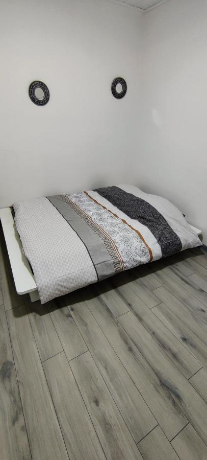 Appartement En Centre Ville Thonon-les-Bains Ngoại thất bức ảnh